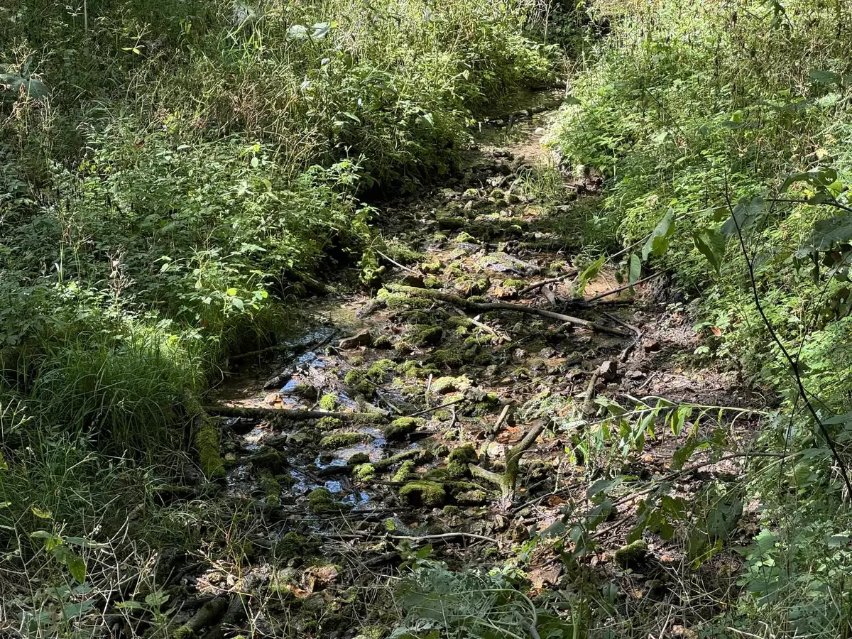 Mineral Point, WI 53565,Lot 10 Murphy Road