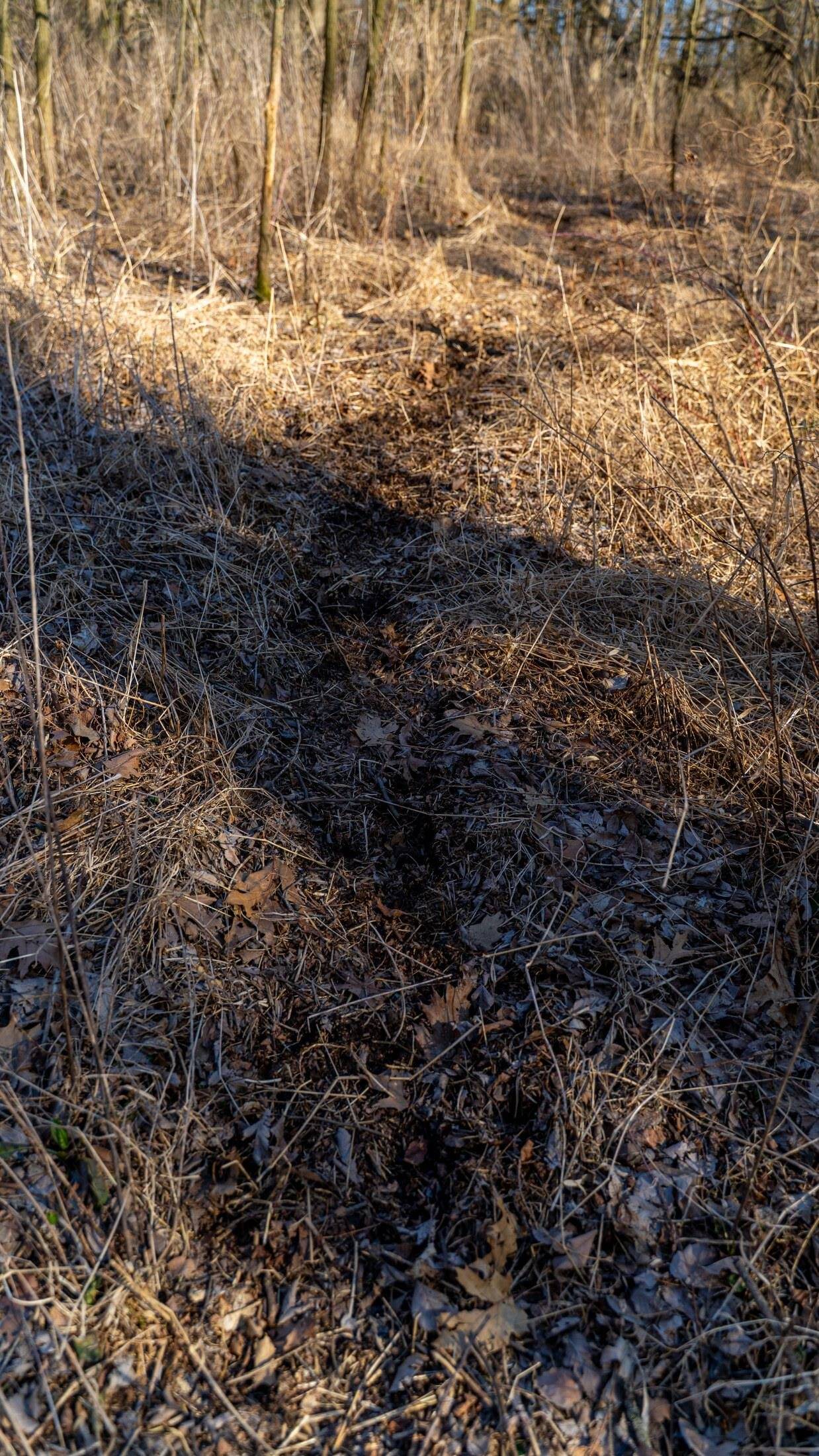 Whitewater, WI 53190,Lot 2 Sherwood Forest Road