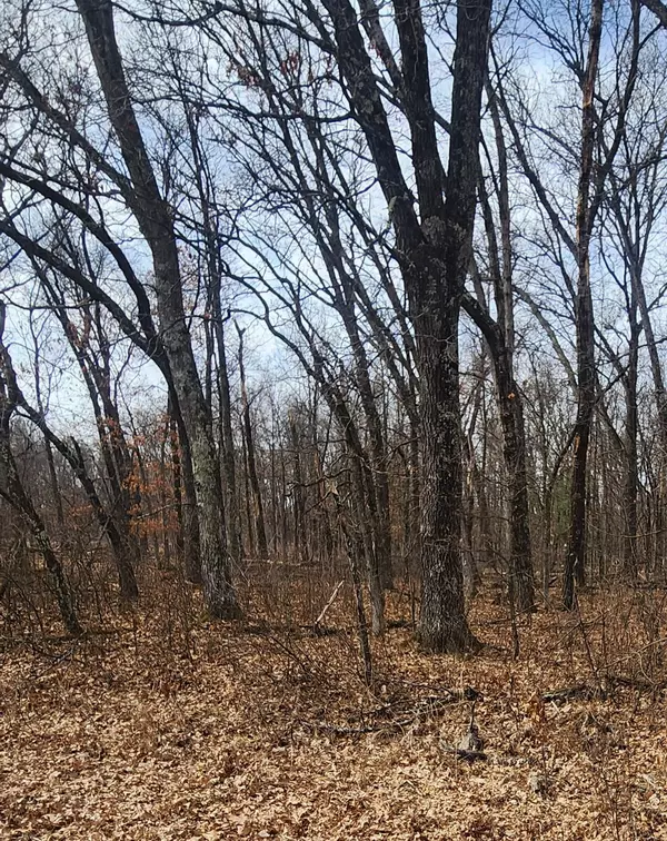Nekoosa, WI 54457,1553 Kingswood Trail