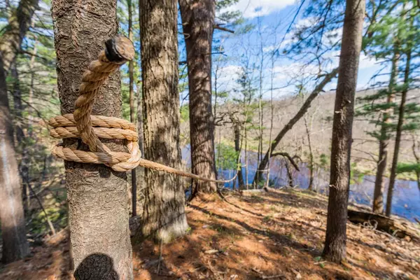 1031 Czech Lane Friendship, WI 53934-9759