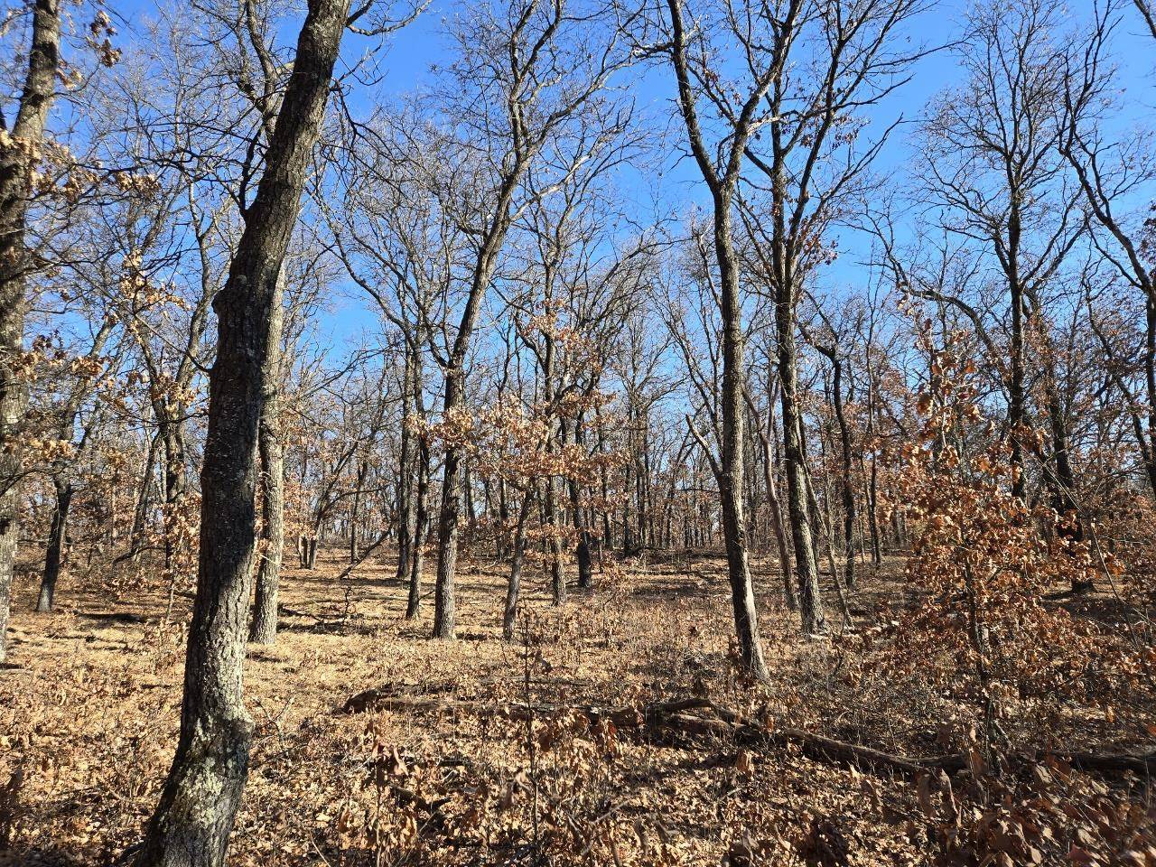 4 Acres (MOL) Aspen Drive, Hancock, WI 54943