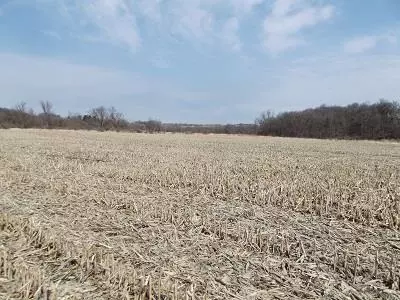 Mineral Point, WI 53565,51+/- Acres CTH 0 Road