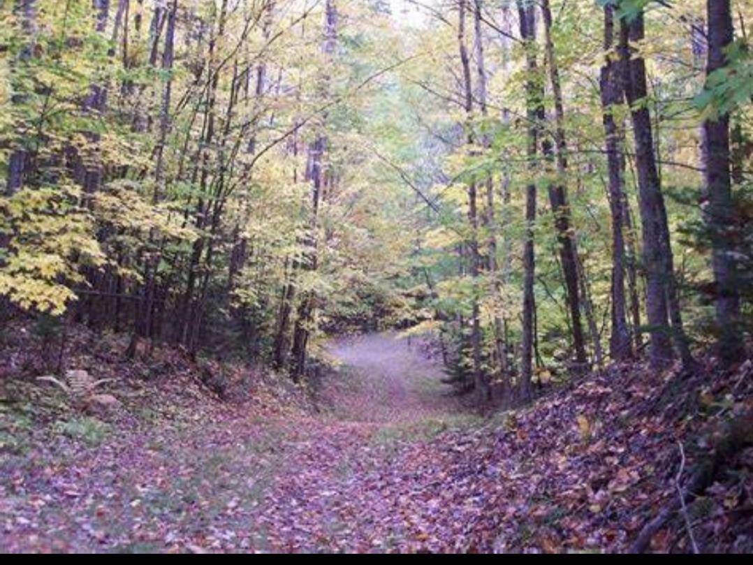 Verona, WI 53593,97ac Fritz Road