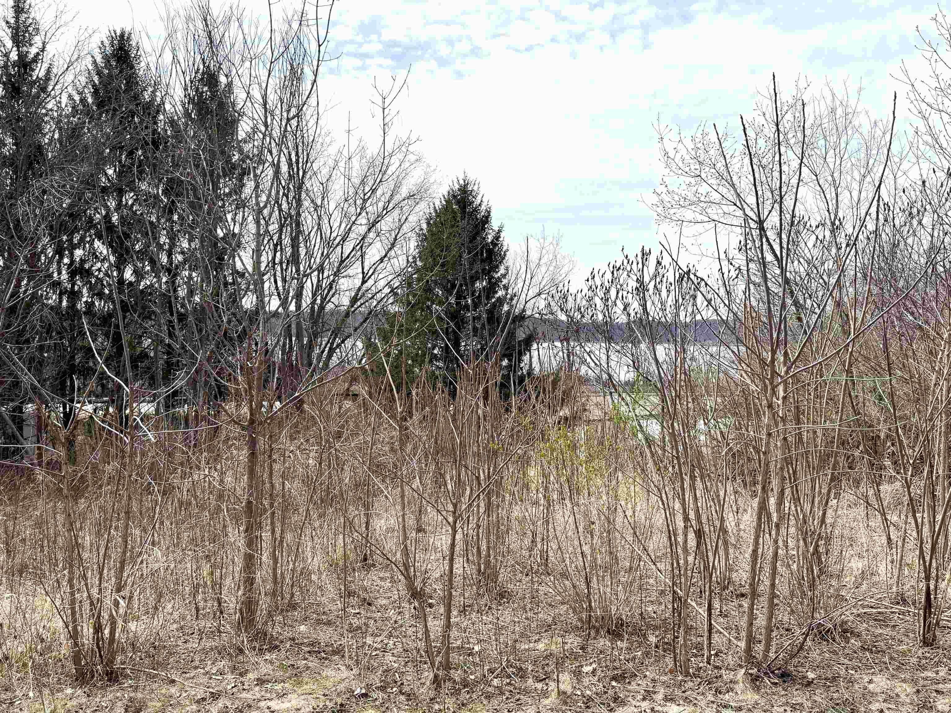 Ferryville, WI 54628,156 Pine Street