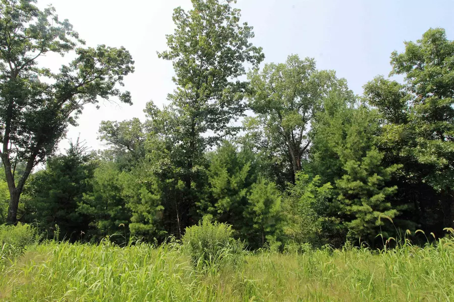 Lot19 Timber Trail, Spring Green, WI 53588
