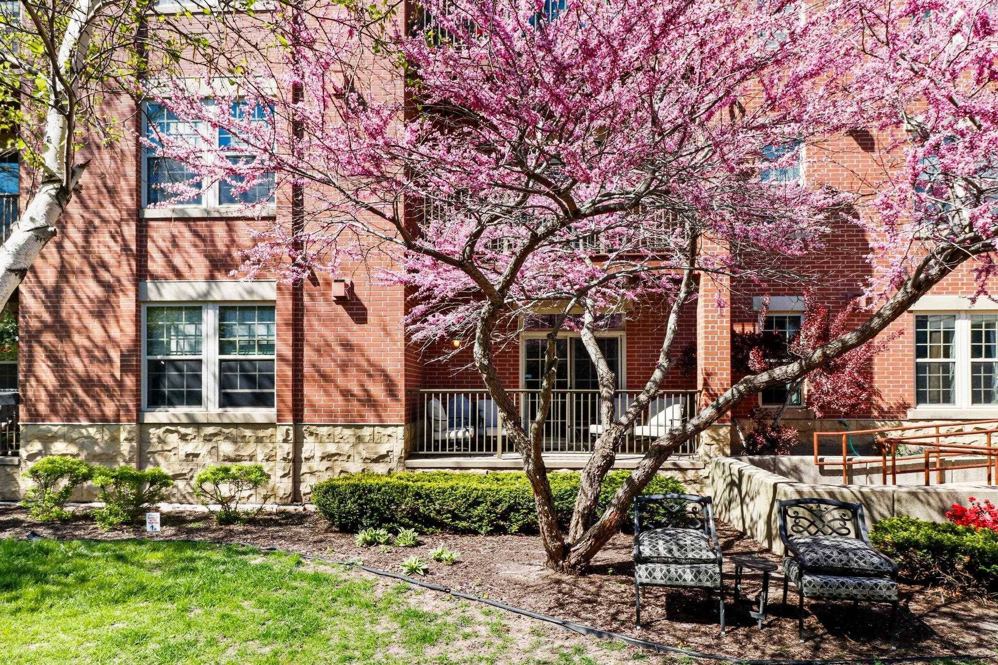 Sun Prairie, WI 53590,201 E Lane Street #103