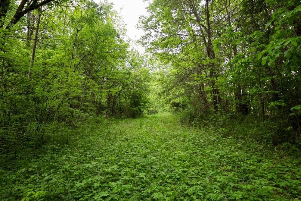 Poy Sippi, WI 54967,000 Big Horn Avenue