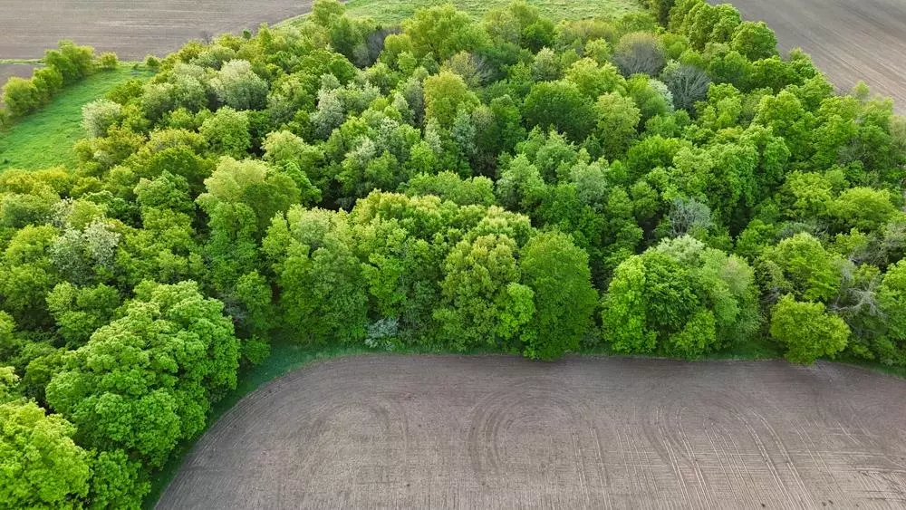 Poy Sippi, WI 54967,000 Big Horn Avenue