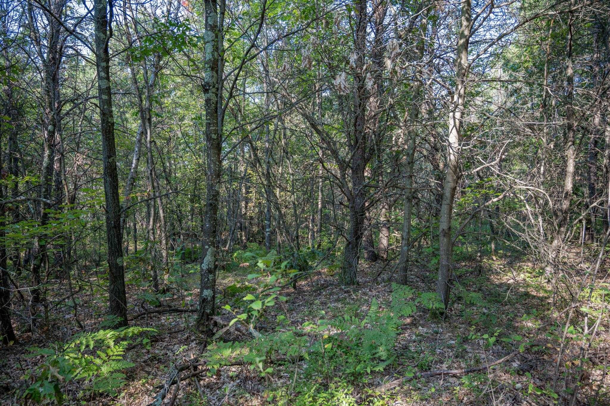 Necedah, WI 54646,Lot 4 20th Street