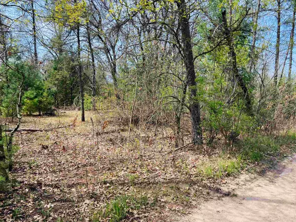 Friendship, WI 53934,L8 W 7th Court