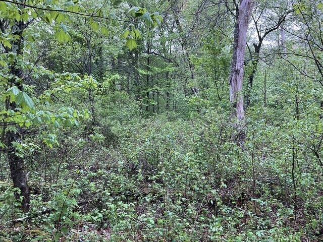 Necedah, WI 54646,Lot 44 10th Street