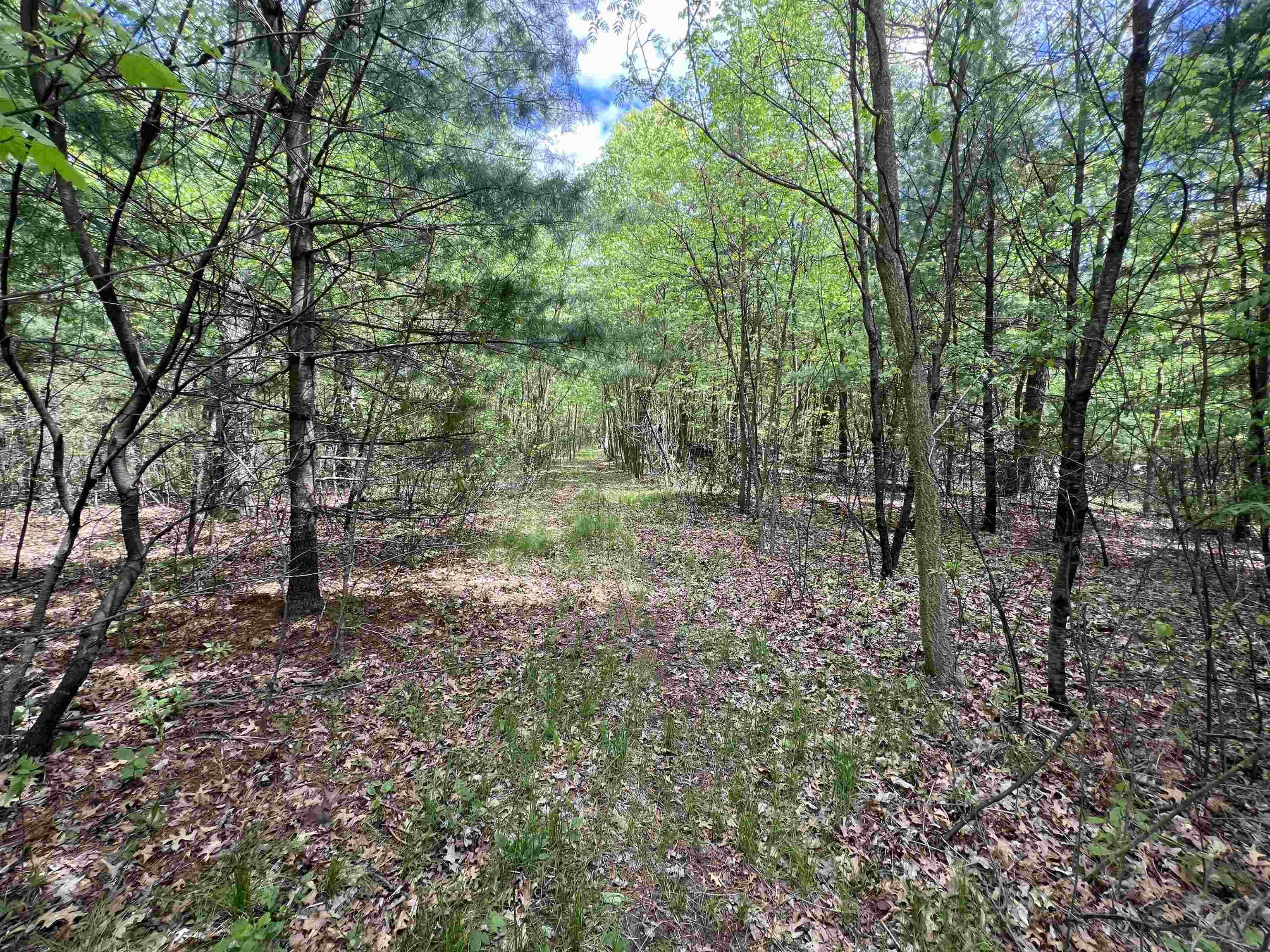 17.75 Acres County Road G, Oxford, WI 53952