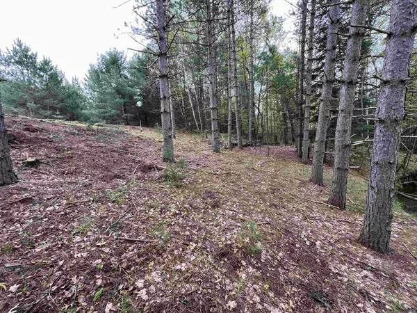St. Germain, WI 54558,LOT 1 HWY 70