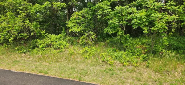 Wisconsin Dells, WI 53965,Lot 52 Pebblebeach Drive
