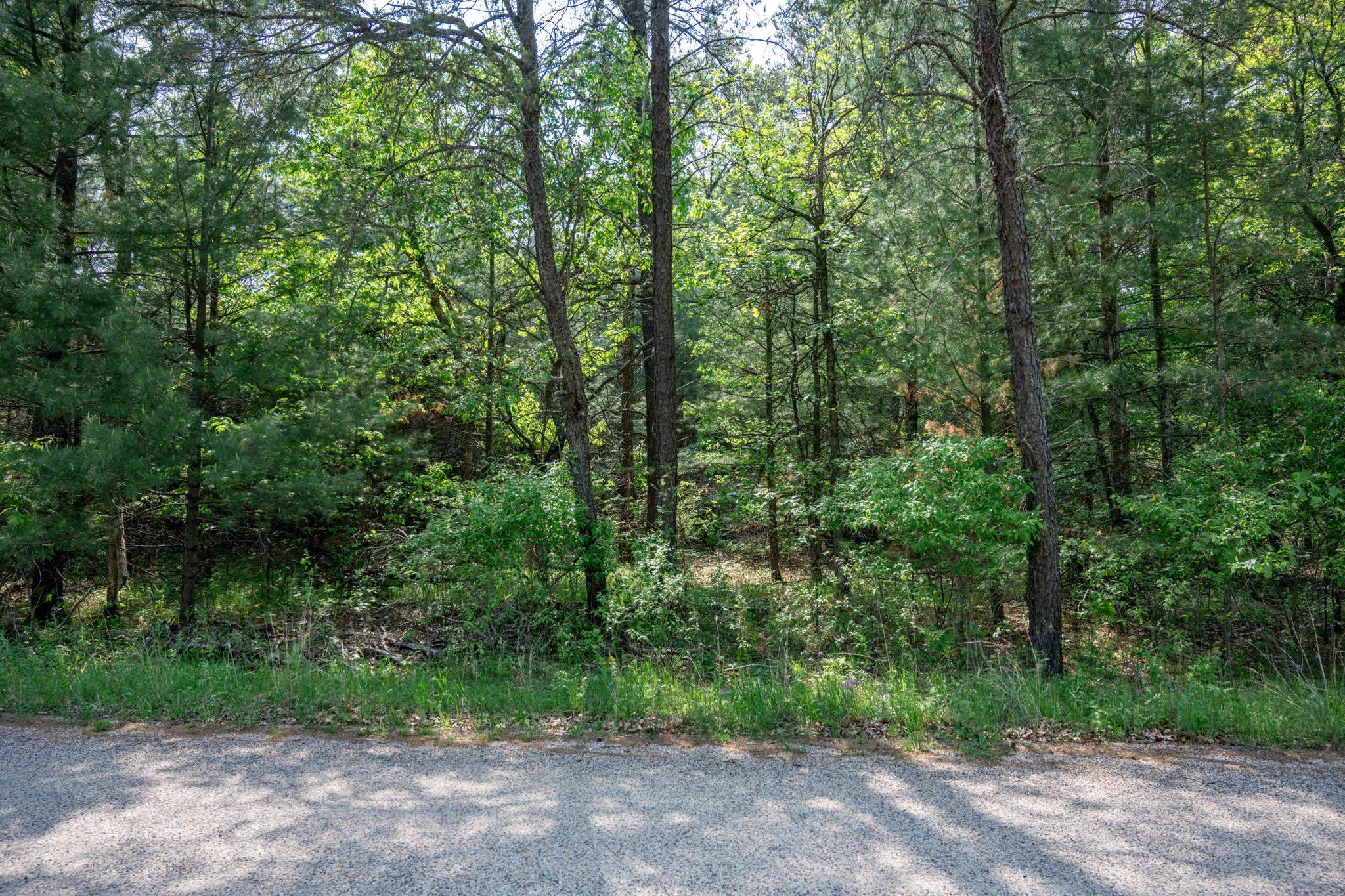 Arkdale, WI 54613,Lot 35 19th Court