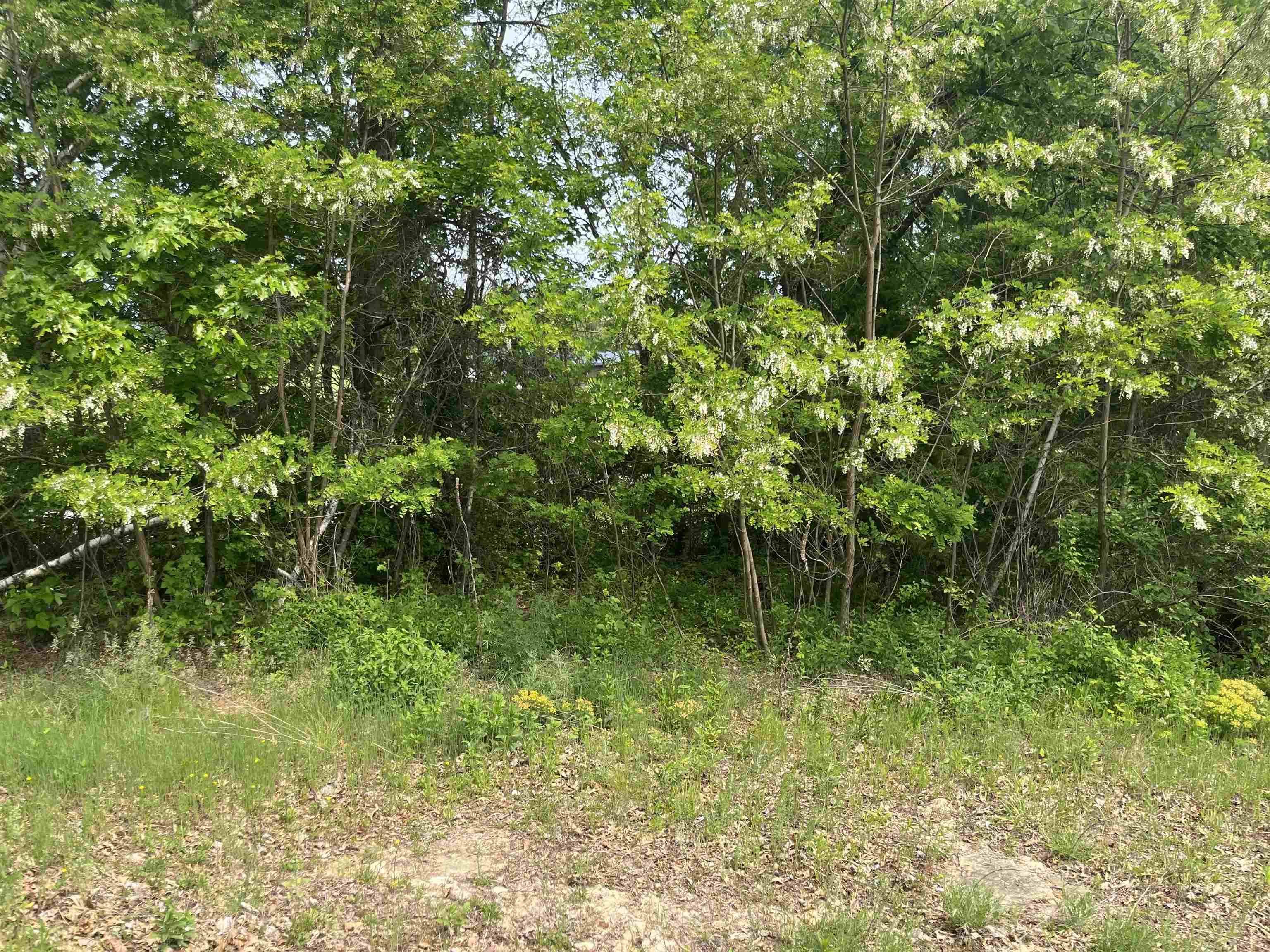 Elroy, WI 53929,Lot 2 & 3 Kimball