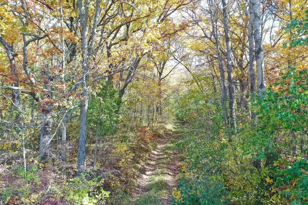 Black Earth, WI 53515,28.7 Acres Turkey Road