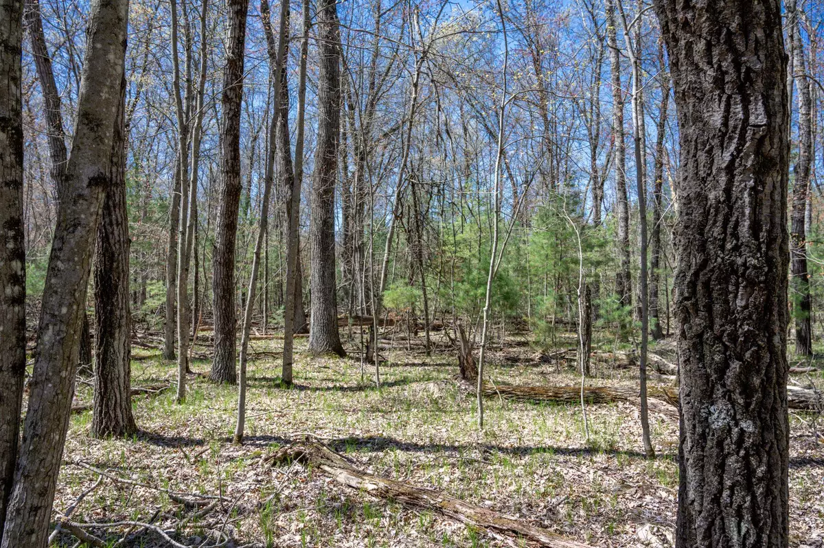 Hancock, WI 54943,607 Badger Drive