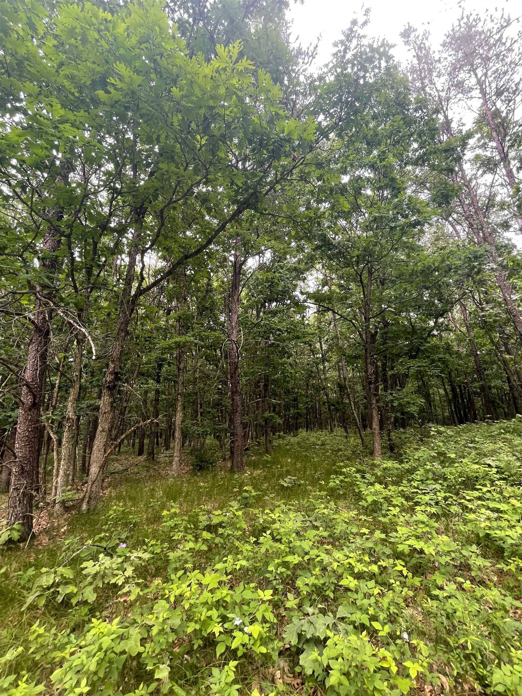 Lyndon Station, WI 53944,Lot 38 Nina Drive