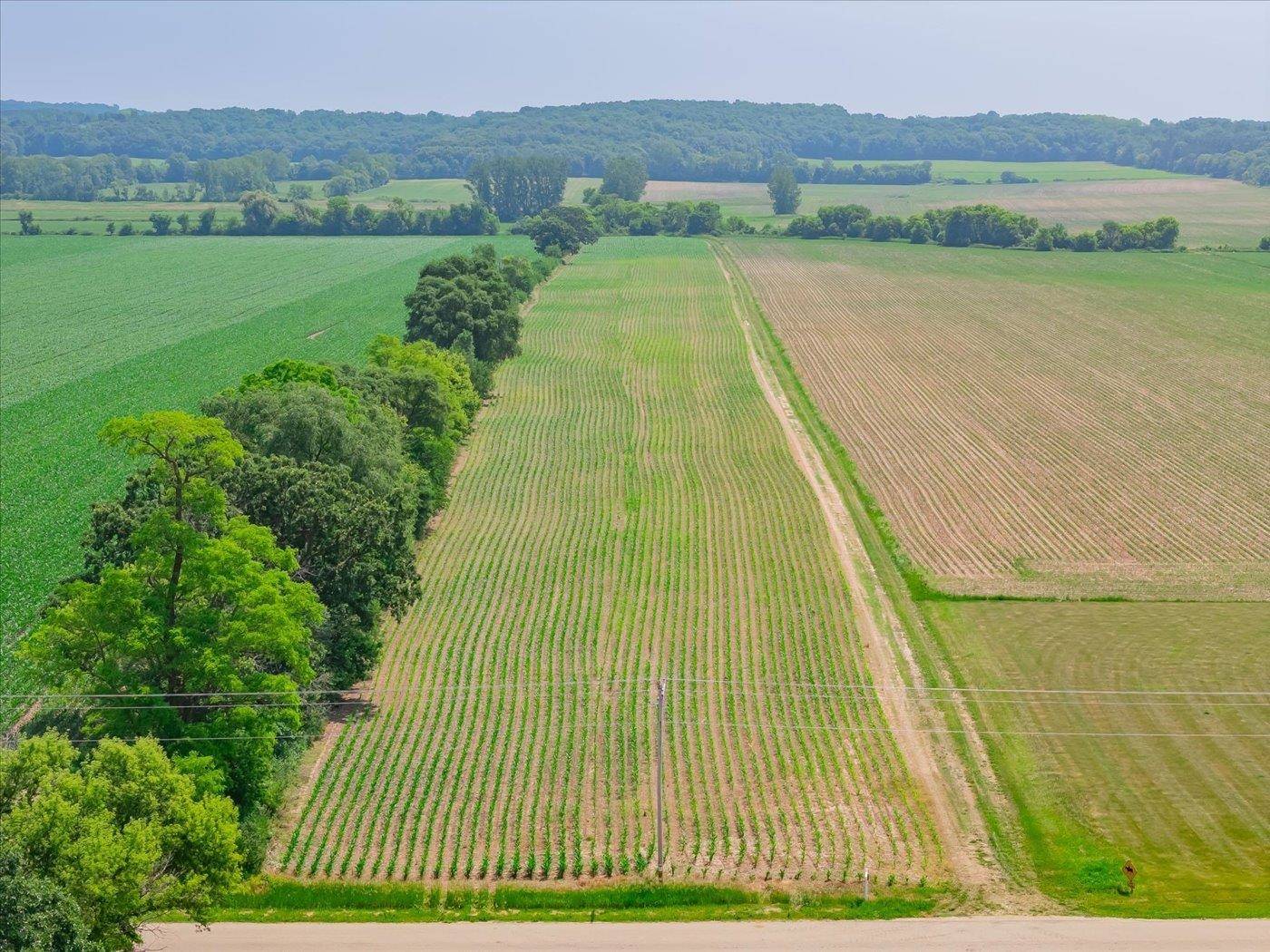 Brooklyn, WI 53521,L3 & L4 Sandy Hook Road