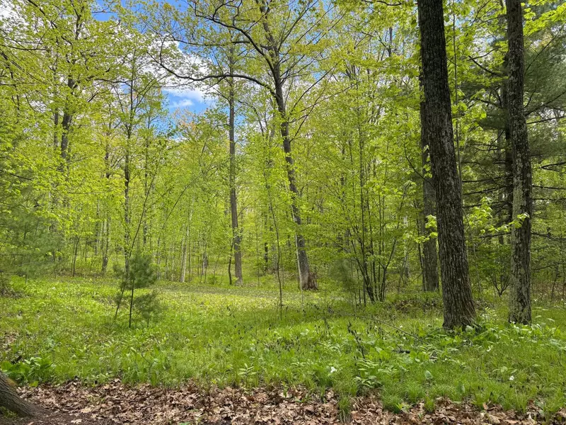 3114 S Rifle Road, Rhinelander, WI 54501