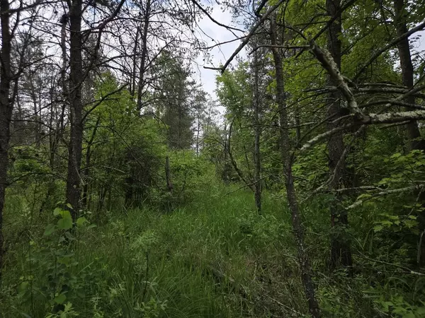 Necedah, WI 54646,10 Acres 25th Street