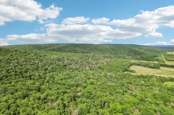 Baraboo, WI 53913,140 Ac Highway 12