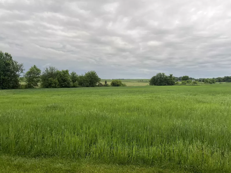 20.37 Ac S Main Street, Reeseville, WI 53579