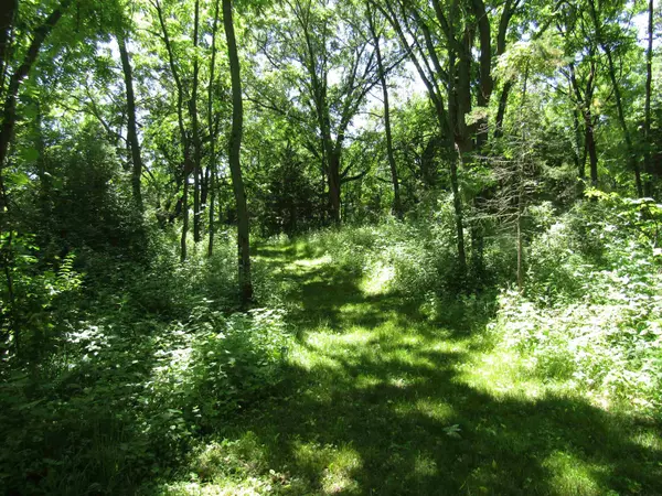 Milton, WI 53563,4 acres +- Glacier View Court