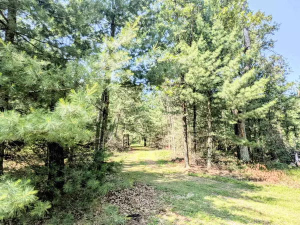 1031 Edgewood Avenue, Adams, WI 53910