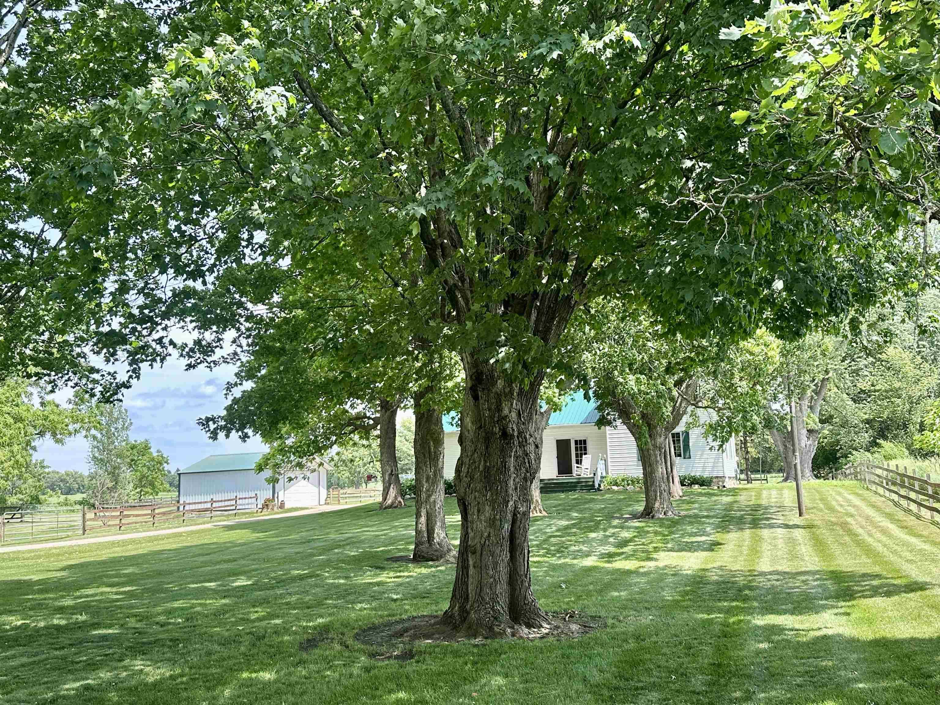 Berlin, WI 54923,N8786 County Road F