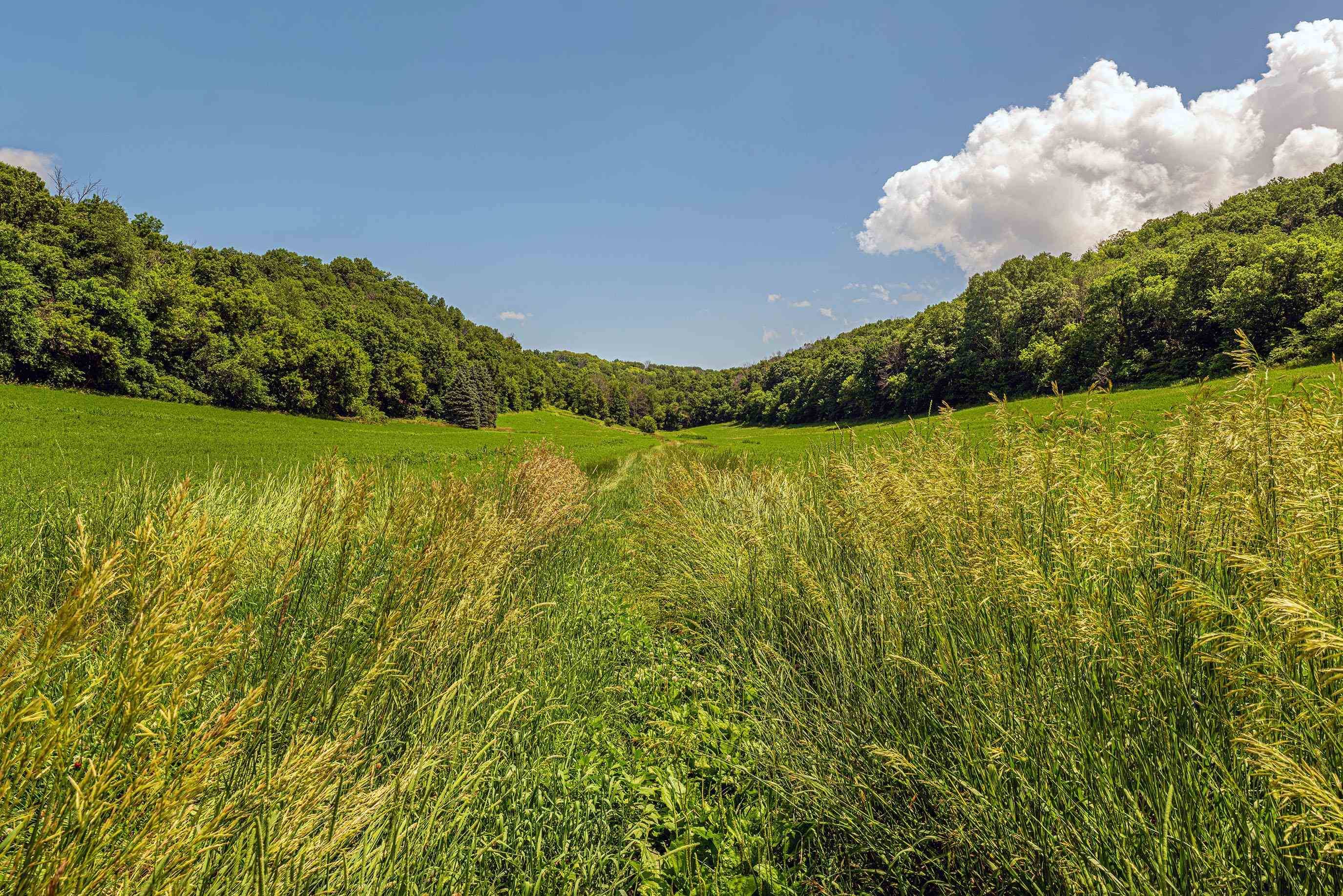Richland Center, WI 53581,80 Acres 020-1133-000, 020-1134-0000