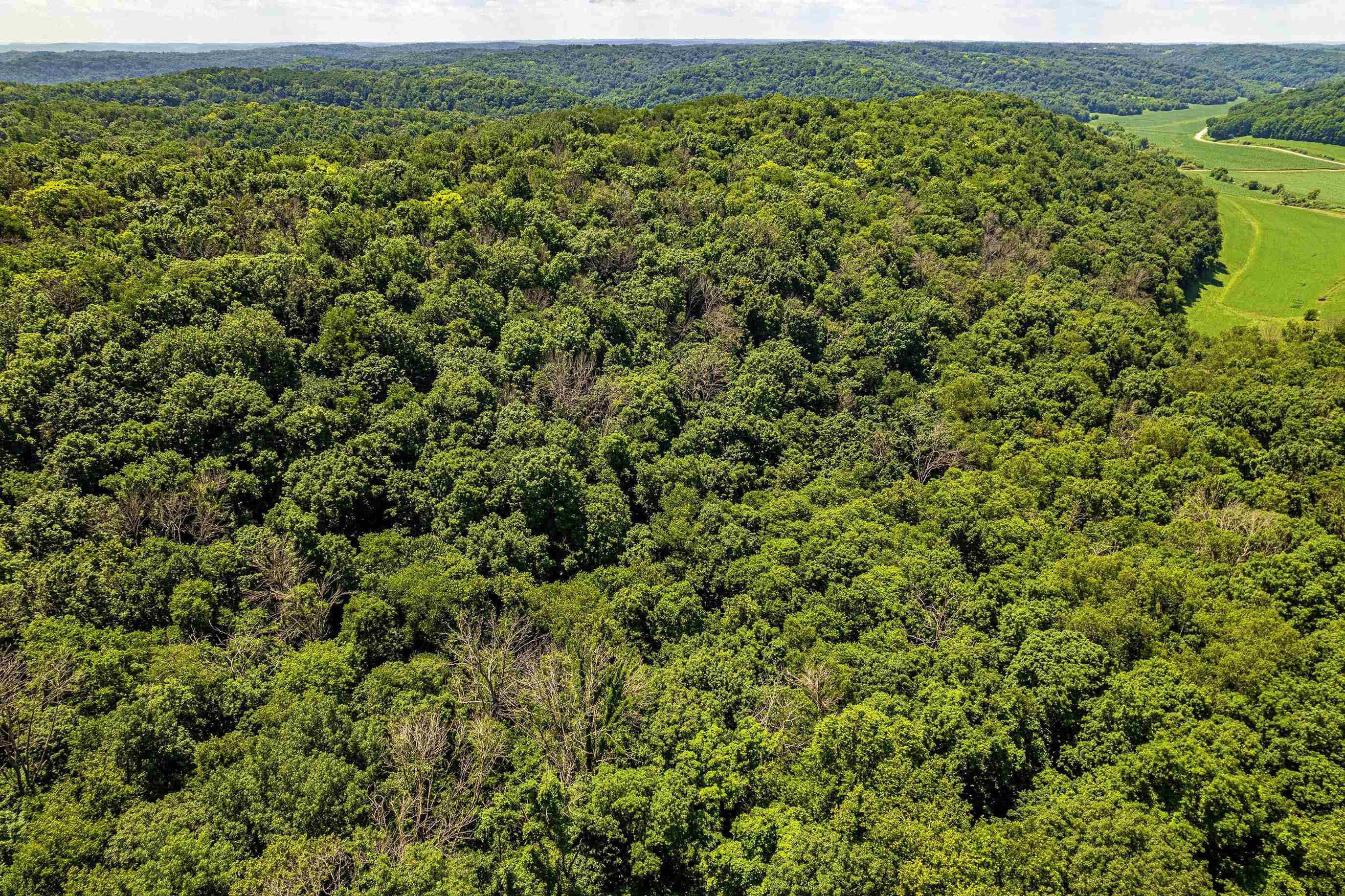 Richland Center, WI 53581,80 Acres 020-1133-000, 020-1134-0000