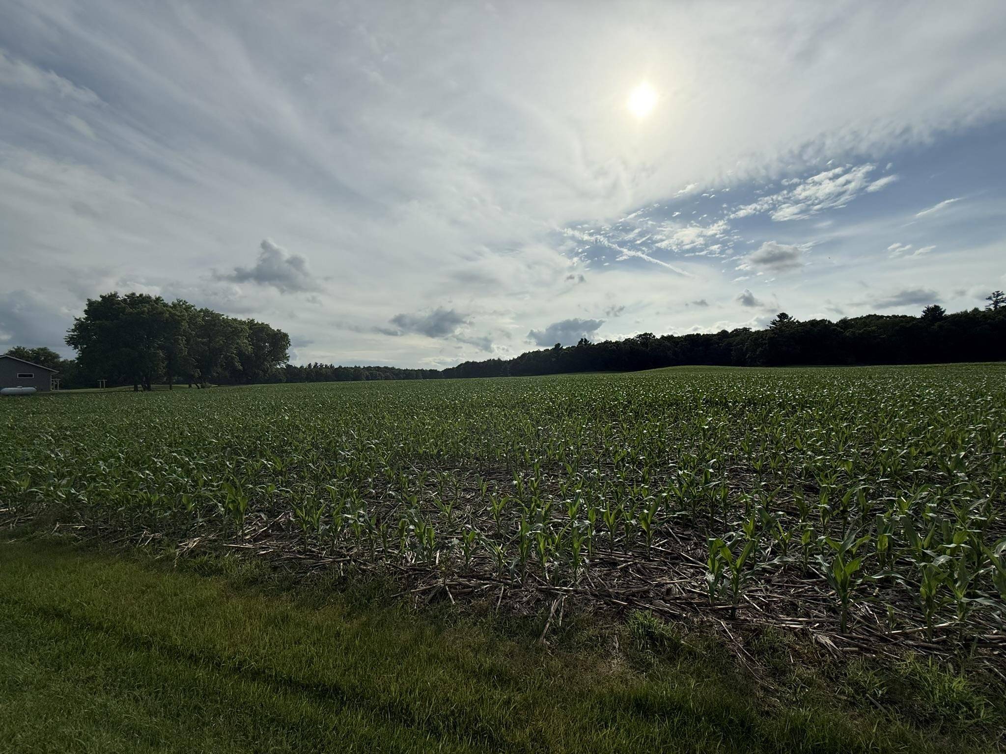 Tomah, WI 54660,7473 Division Road