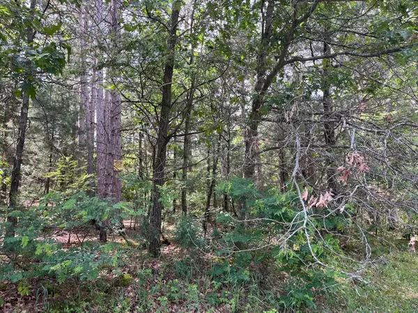 Friendship, WI 53934,L5 Dyke Drive