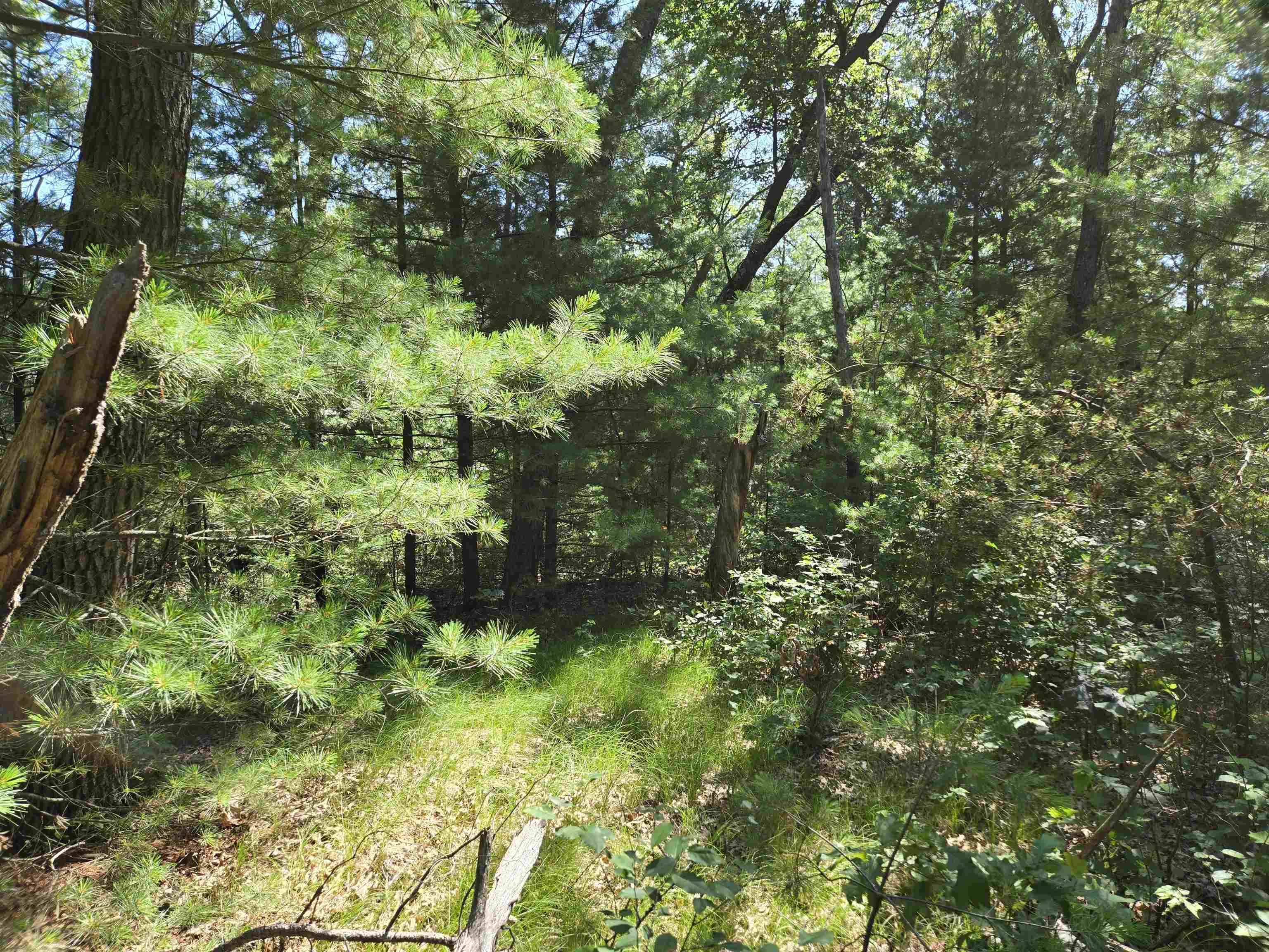 Friendship, WI 53934,0 13th Drive