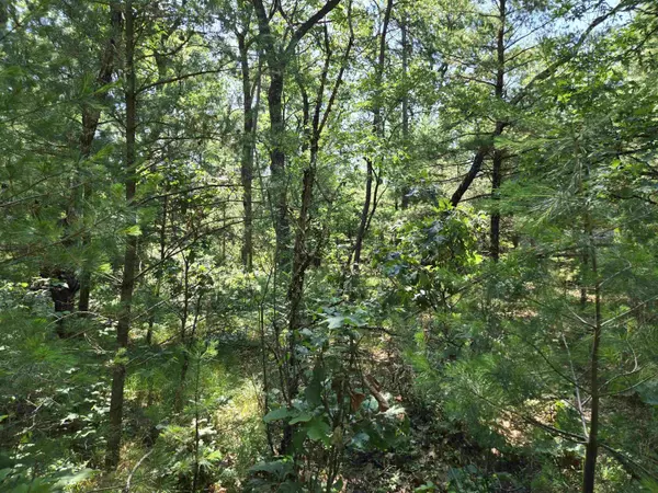 Friendship, WI 53934,0 13th Drive