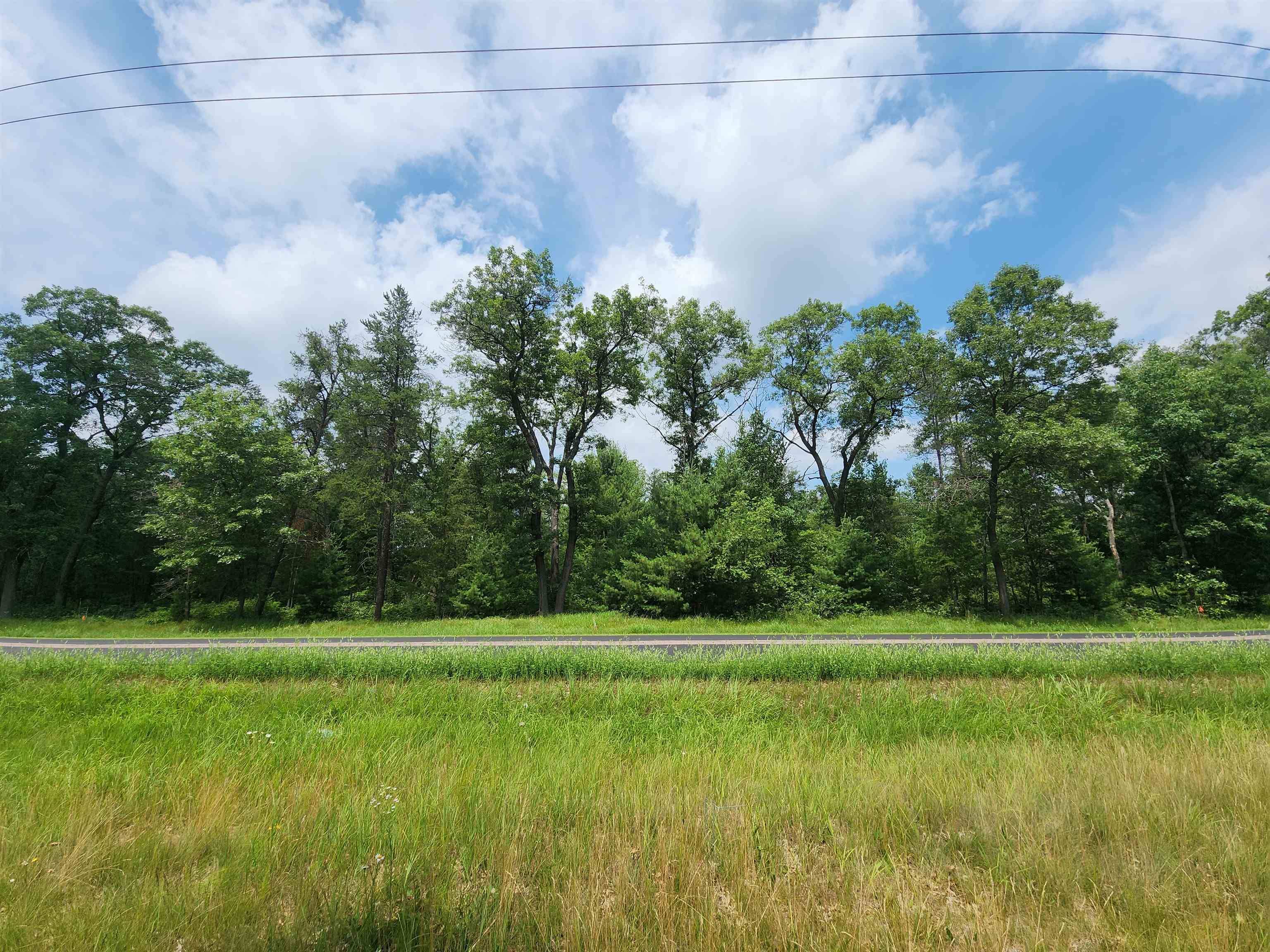 Lot 3 9.93 Ac County Road A Road, New Lisbon, WI 53950