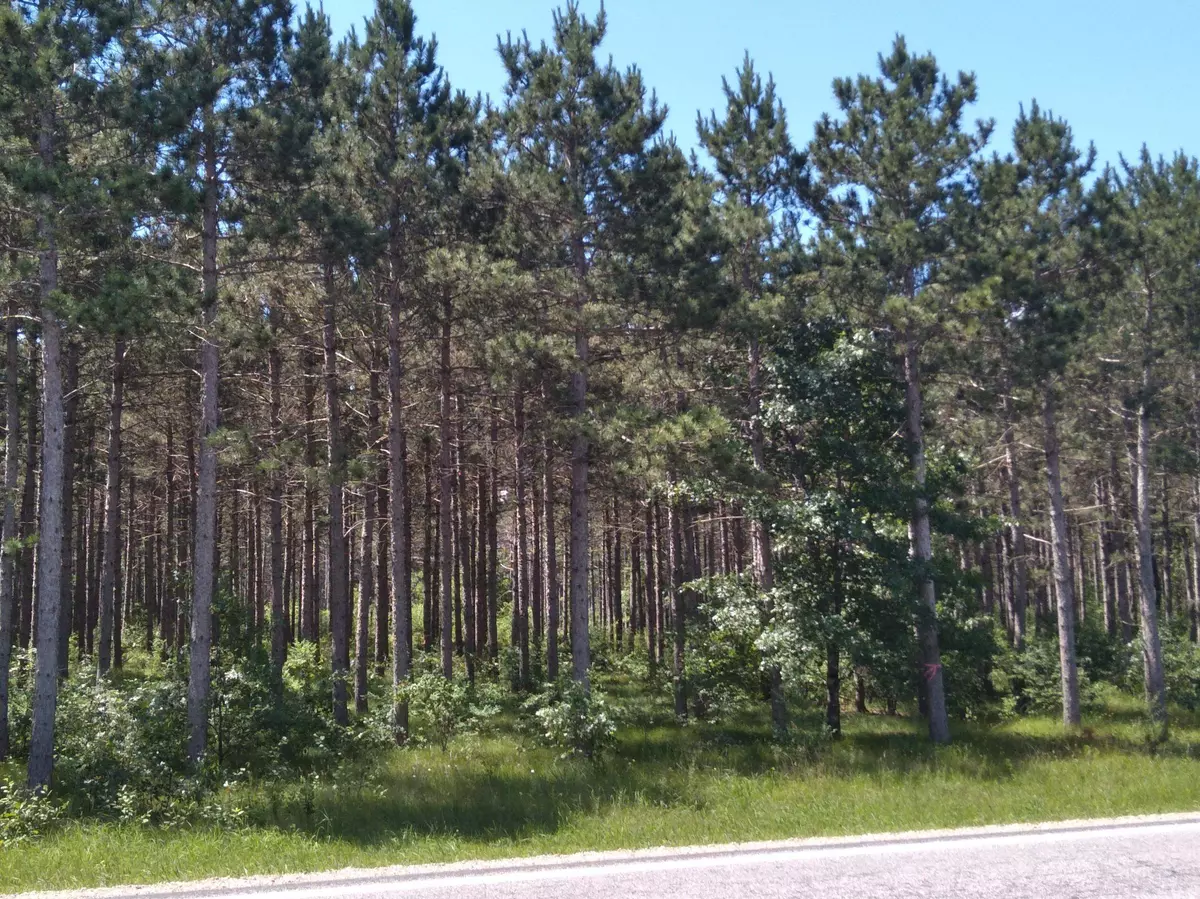 Nekoosa, WI 54457,9.17 AC County D Road