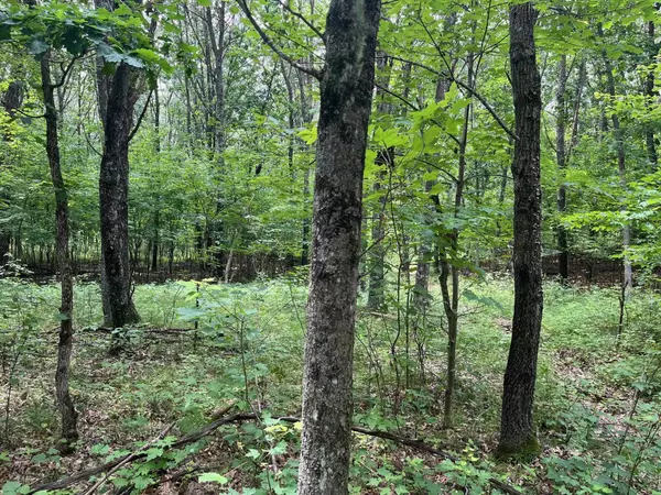 Grand Marsh, WI 53936,10 Acres 6th Avenue