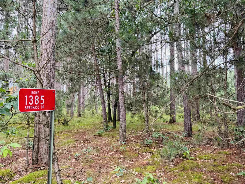 1385 Sawgrass Drive, Nekoosa, WI 54457