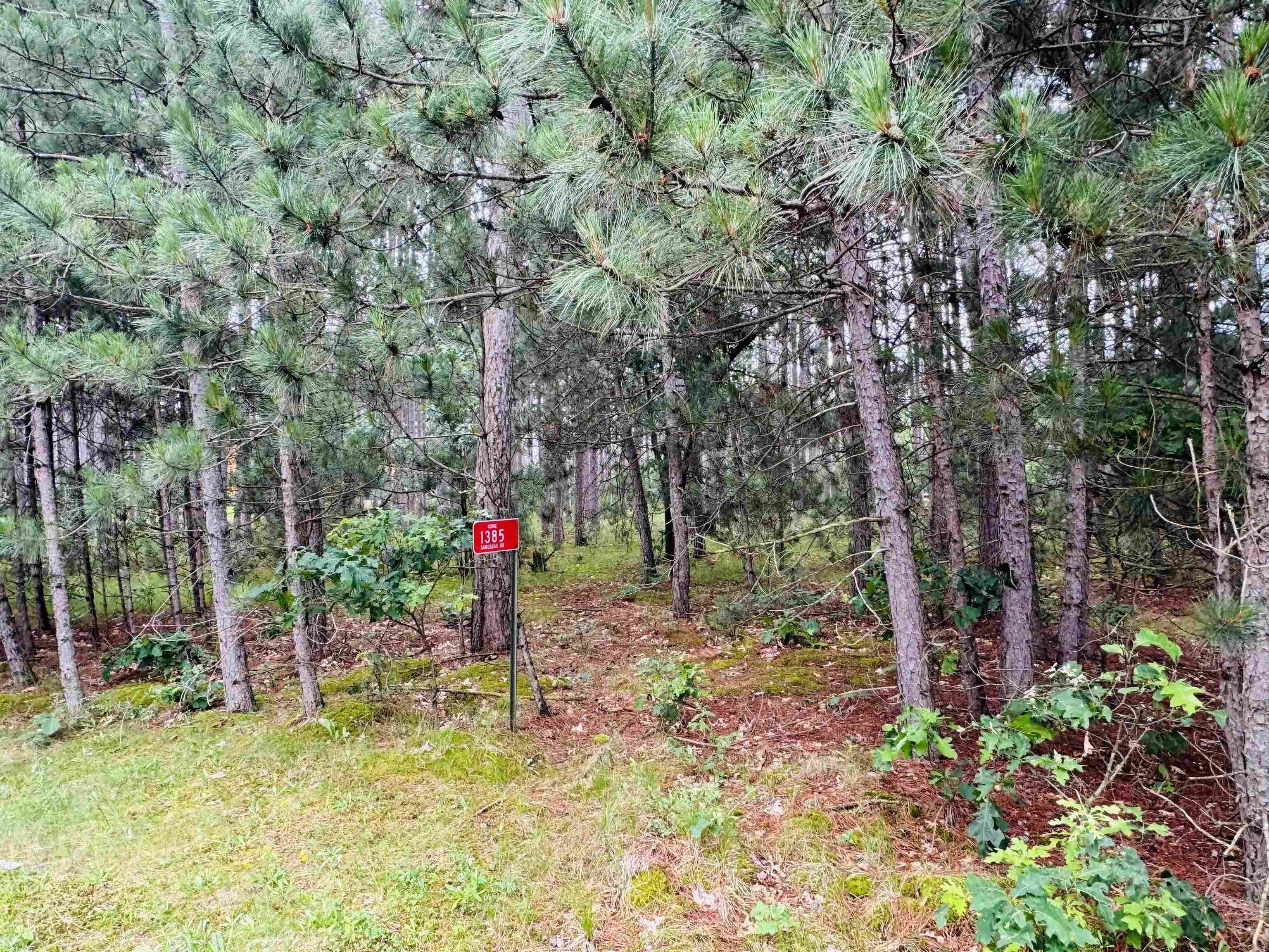 Nekoosa, WI 54457,1385 Sawgrass Drive