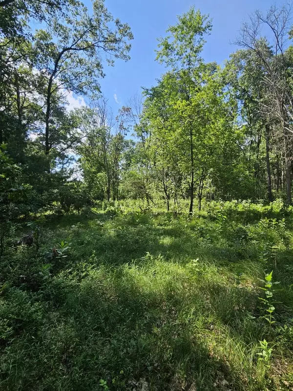 Wisconsin Dells, WI 53965,3671 9th Avenue