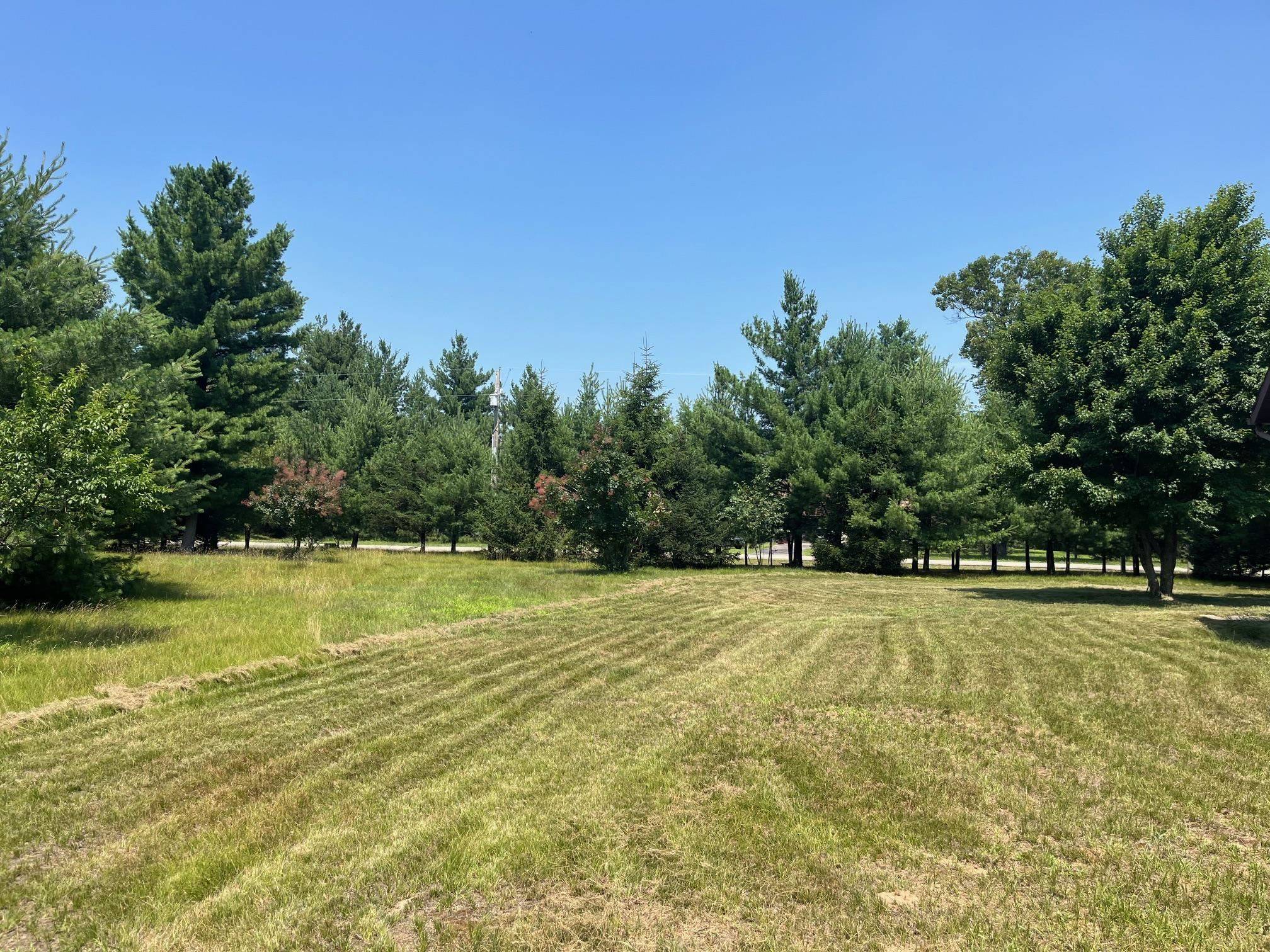 Adams, WI 53910,877 Elk Avenue