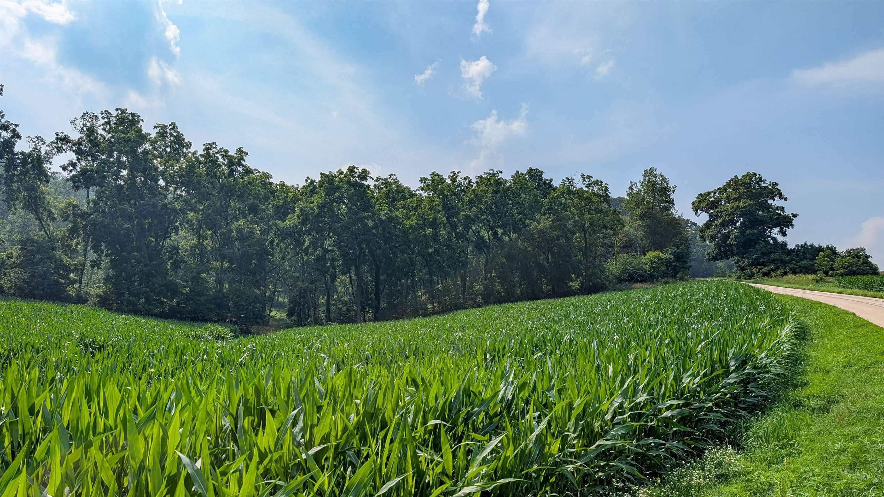 Spring Green, WI 53588,4.84 Acres Neuheisel Road