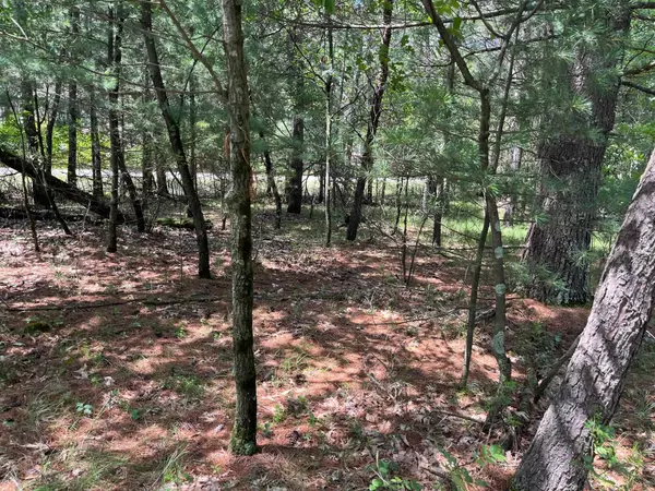 Arkdale, WI 54613,L64 S Cypress Drive