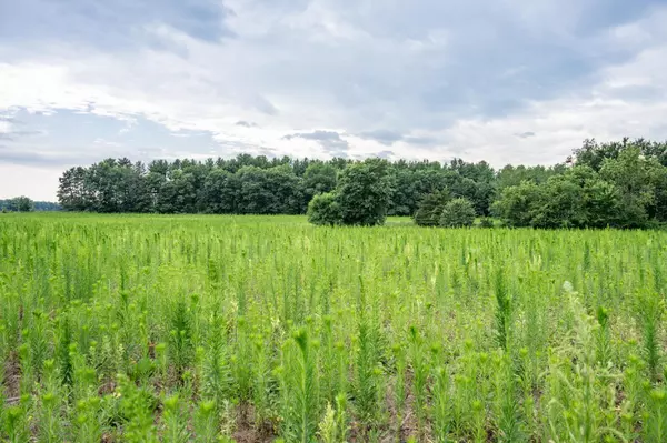 Lyndon Station, WI 53944,20.255 Acres 28th Avenue
