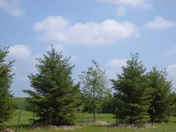 Sun Prairie, WI 53590,L11 Lucas Lane