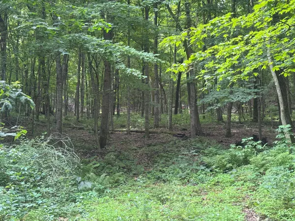 Hillsboro, WI 54634,17497 E Gross Valley Lane