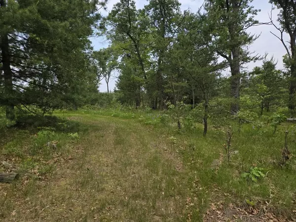 Arkdale, WI 54613,5 acres W 15th Court